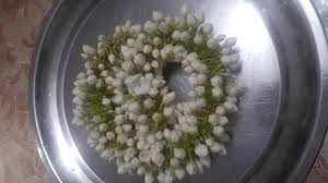 How to store flowers without fridge. How To Store Gajra Jasmin Flower On Fridge Youtube