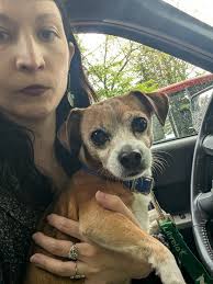 Is this the deceased dog found this morning?