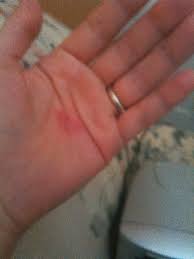 Image result for Kim Lapointe rev 12 the real prophecy poured forth and be standing on the moon rev 12 Moon