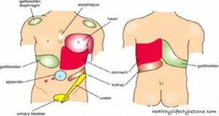 Moreover, there are many vital organs such as the heart, liver, gall bladder, kidney, and lungs under your right rib cage. Welcome To Dangerous Neoseeker Xyz