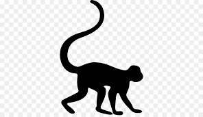Netclipart is a free png clipart & silhouette images platform. Black Line Background Png Download 512 512 Free Transparent Baby Monkeys Png Download Cleanpng Kisspng