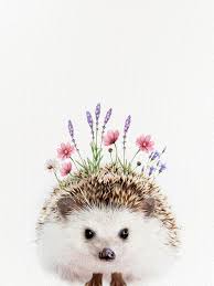 Hedgehog With Flower Crown Framed Art Print By Amy Peterson Art Studio Vector Black Small 15x21 Animal Art Animal Paintings Animal Drawings