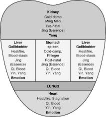 Pulse Diagnosis An Overview Sciencedirect Topics