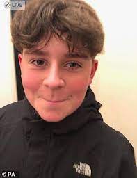 10 year old hairstyles hair cut and hairstyle inspirations. Cute 13 Year Olds With Straight Hair Andrew Collinge Medium Blonde Straight Hairstyles Boys And Girls Hairstyles And Girl Haircuts It Is A Little Longer Then Sholder Length Kimbra Kisling