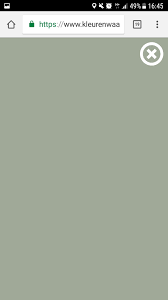 kleur jofel van praxis perfecte warm groene kleur binnenshuise verfkleuren kleurrijke kamers groene kleuren