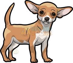 Big Fluffy Black Brown And White Dog A Beautiful Chihuahua Cartoon Stock Clipart Vector Toons Chihuahua Drawing Dog Drawing Chihuahua Art