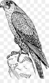 Check spelling or type a new query. Wolf Coloring Pages Png Devil Wolf Coloring Pages Werewolf Coloring Pages Wolf Coloring Pages For Adults Realistic Wolf Coloring Pages Winged Wolf Coloring Pages Howling Wolf Coloring Pages Cute Wolf Coloring