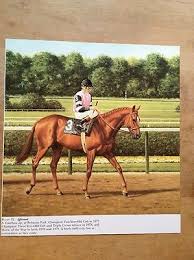 Race Horse Affirmed Kentucky Derby Triple Crown Winner
