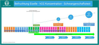 41 Schwangerschaftsanzeichen My Schwangerschaft