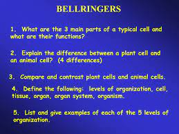 In this chapter we will specifically look at eukaryotic cells that make up organisms such as plants and animals. 2 Explain The Difference Between A Plant Cell And An Animal Cell