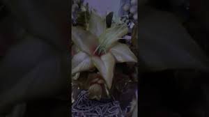 تفسير حلم الزوجة تزوجت من رجل أخر فى المنام Youtube