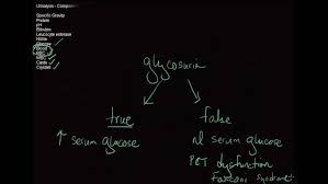 Image result for Transtubular Potassium Gradient