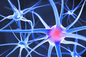 как лечить воспаление тройничного лицевого нерва в домашних условиях Lechenie Nevralgii Trojnichnogo Nerva V Yuzhnoj Koree 17 Klinik Otzyvy Pacientov Ceny Bez Posrednikov Hospitals Travel Ru