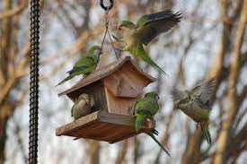 http khdeh blogspot com outdoor decor bird house decor