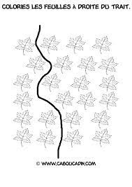 Reconnaitre A Droite Automne 1 Automne Activite Maternelle Activite Automne