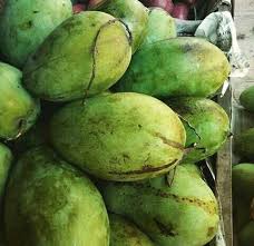 Alasan mengapa buah mangga dijuluki mangga alpukat selain cara makannya adalah serat buah yang sangat halus, teksturnya lembut dan rasanya manis. Buah Mangga Harum Manis Steemit