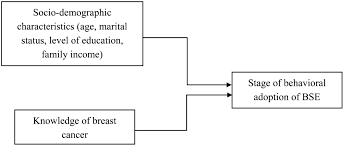 These include how sensitive it is to the hormones estrogen and progesterone as well as to the level of certain proteins that play a role in breast cancer growth, such as her2. The Relationship Of Socio Demographic Characteristics And Knowledge Of Breast Cancer On Stage Of Behavioral Adoption Of Breast Self Examination