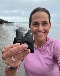 Myrtle Beach Shark Teeth