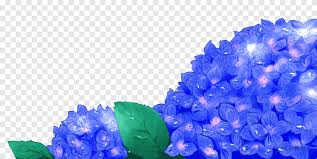 The advantage of transparent image is that it can be used efficiently. Flowers Blue Petal Flowers Png Pngegg