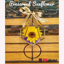Preserved fresh flowers natural preserves flowers and foliage. Preserved Sunflower Preserved Sunflower Www Fgdavao Com Send Flowers To Davao Philippines Preserveds Sunflower How To Preserve Flowers Flowers Roses Bouquet