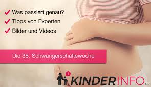 Sie hat nämlich auch noch nicht dieses lange wenn du das weist, warum hast du sie im zooladen gekauft? á… 38 Ssw Schwangerschaftswoche Details Im Uberblick