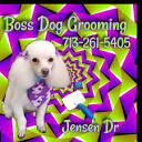 Boss Dog Grooming