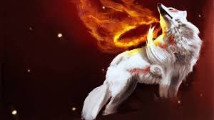White wolf wolf wallpaper 4k x white wolf wolf wallpaper 4kpx. Magic Wolf Wallpapers On Wallpaperdog