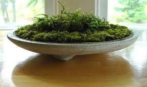 Sale Zen Concrete Handmade Moss Bowl Terrarium Centerpiece Terrarium Centerpiece Moss Centerpieces Plant Centerpieces