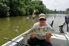 The man with the iron heart (2017) cast and crew credits, including actors, actresses, directors, writers and more. Fogasi Beszamolo Liptak Andras Kosullo 1 240 Kg Harmas Koros Korosvideki Horgasz Egyesuletek Szovetsege