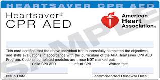Check spelling or type a new query. Cpr Certificate The Essentials Of Cpr Certification In Los Angeles