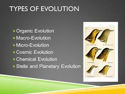 Six Types Of Evolution Each With A Different And Unrelated Meaning Students Are Deceived Into Thinking They Are All The Same Hypothesis Creationism Bible