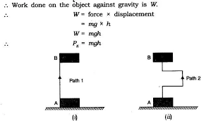 Work Power And Energy Class 9 Notes Science Chapter 11 Learn Cbse Class9sciencenotes Class9thsciencenotes Cbseclass9 Science Notes Science Science Facts