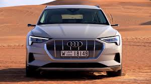 Image result for Siam Beige 2020 Audi
