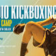 Cardio Kickboxing Mini Bootcamp - November event image