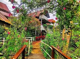 27,953 likes · 76 talking about this. Alpine D Bayu Residence Home Facebook