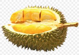 No distribuye ni venda imágenes png en otros fondos de pantalla o plataformas de stock. Durio Zibethinus Durian Pancake Auglis Fruit Flavor Png 1537x1078px Durio Zibethinus Auglis Benih Daging Buah Durian