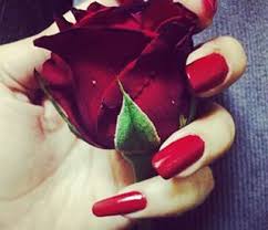 Ø±Ù…Ø²ÙŠØ§Øª ÙˆØ±Ø¯ ÙˆØ§ØªØ³ Ø§Ø¨ ØµÙˆØ± ÙˆØ±Ø¯ ÙˆØ²Ù‡ÙˆØ± Rose Flower Images
