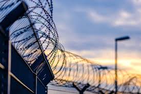 Chain link material cost $8 to $15.00 per linear ft. Prisoners Share Their Biggest Surprises About The Outside World