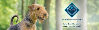 Deciding to make your own dog food at home brings excitement and challenge at the same time. Amazon Com Blue Buffalo Life Protection Formula Natural Adult Dry Dog Food Chicken And Brown Rice 30 Lb Pet Supplies