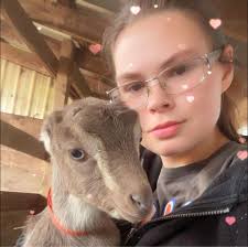 What should I expect price wise when getting an adult boer buck?