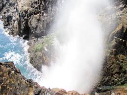 Check spelling or type a new query. The Amazing Punta Banda Peninsula In Ensenada Tanama Tales