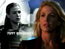 Without a Trace" Malone v. Malone (TV Episode 2004)