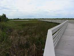 Pond trail (blue) starts on the top of the service road. Chapel Trail Nature Preserve Pembroke Pines Fl 049