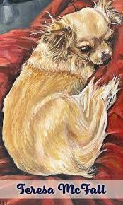 Dog & Cat Days of Summer