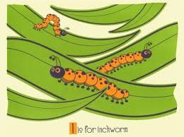 Alphabet Nursery Art Print I Is For Inchworm Hand Screenprinted Animal Alphabet Print Alphabet Nursery Art Alphabet Nursery Nursery Art Prints