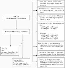 La principal consecuencia de la obesidad es que trae aparejada numerosas comorbilidades y el 80 % de las personas obesas tienen asociadas a este factor entre 1 y 12 enfermedades graves. Manejo De Las Comorbilidades En La Obesidad I Cancer Hipertension Y Diabetes Medwave