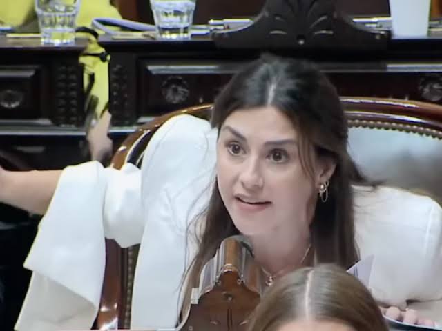 Marcela Pagano amplía su denuncia contra Manuel Adorni