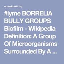 Lyme Borrelia Bully Groups Biofilm Wikipedia Definition A Group Of Microorganisms Surrounded By A Matrix To Protect It In Order Biofilm Lyme Microorganisms