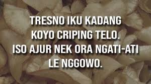 Kata kata mutiara indah serta bijak tentang masa lalu merupakan kumpulan nasehat dari orang orang yang pernah merasakan pahitnya kehidupan lalu bangkit untuk meraih sukses. 50 Kata Bijak Jawa Kuno Beserta Artinya Inspiratif Jalantikus