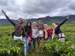 Maybe you would like to learn more about one of these? Perkebunan Teh Cianten
